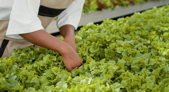 vertical farming conference 2022